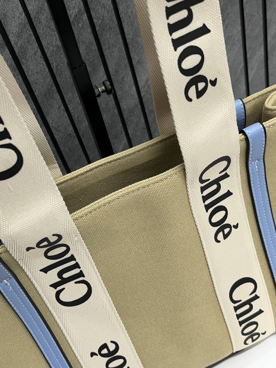 Chloee Blue Medium Canvas Woody Tote With Dust Cover