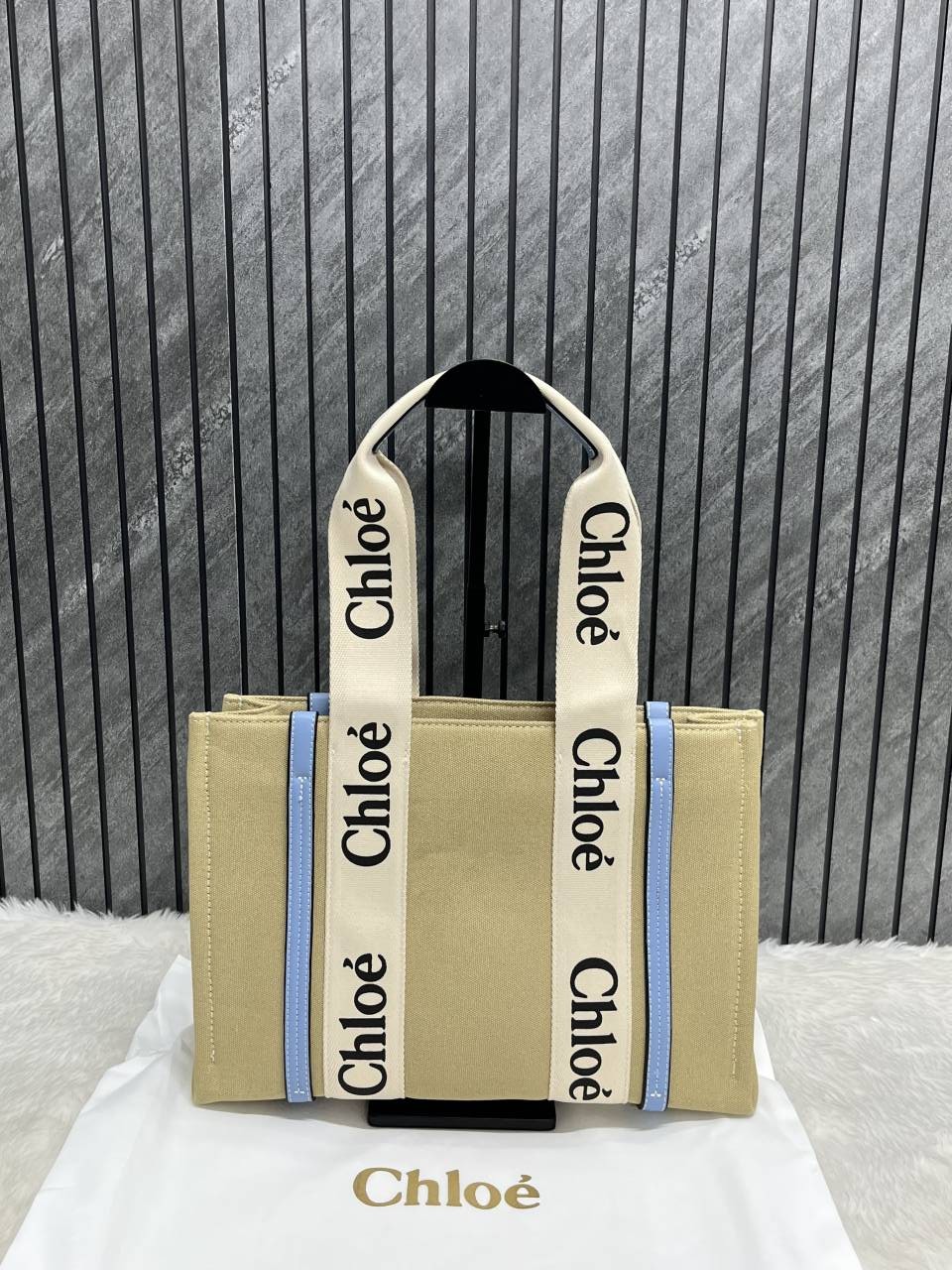 Chloee Blue Medium Canvas Woody Tote With Dust Cover