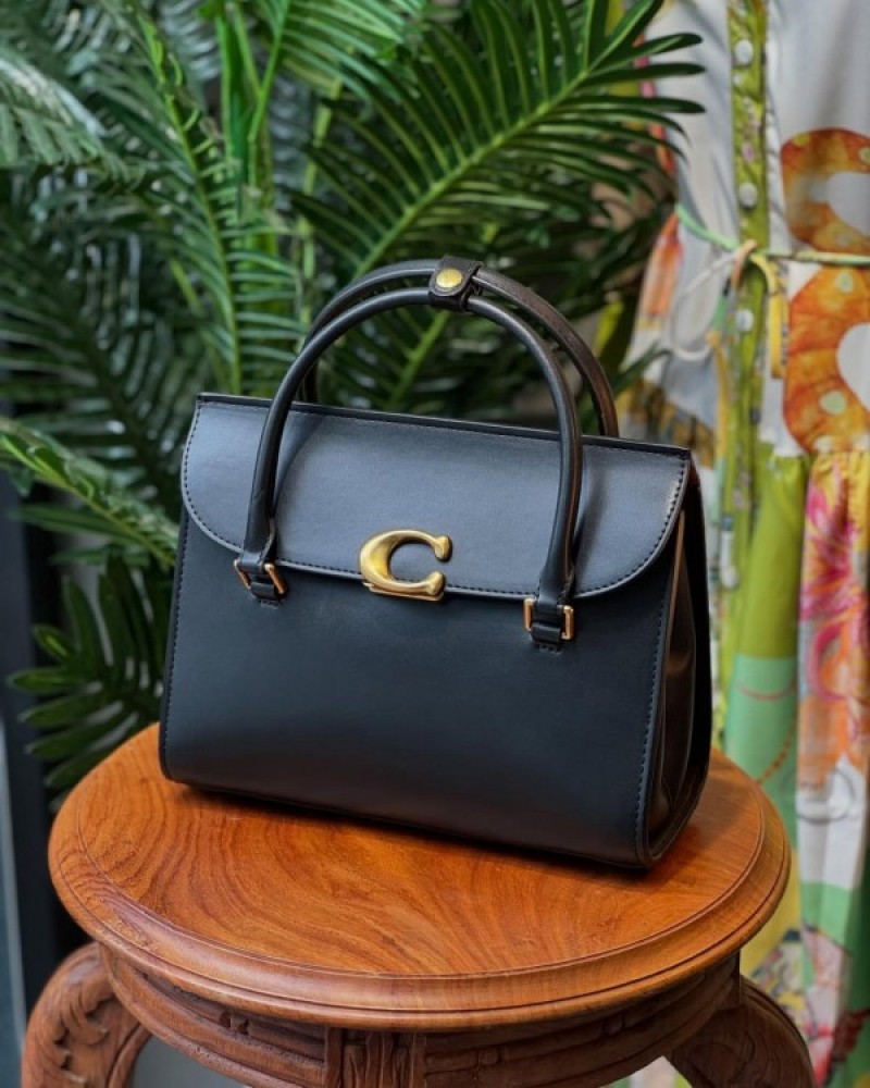 Coatch_Broome_Carryall_Top_Handle_Shoulder_Bag_With_OG_Box_&_Dust_Bag_(Black-1007)