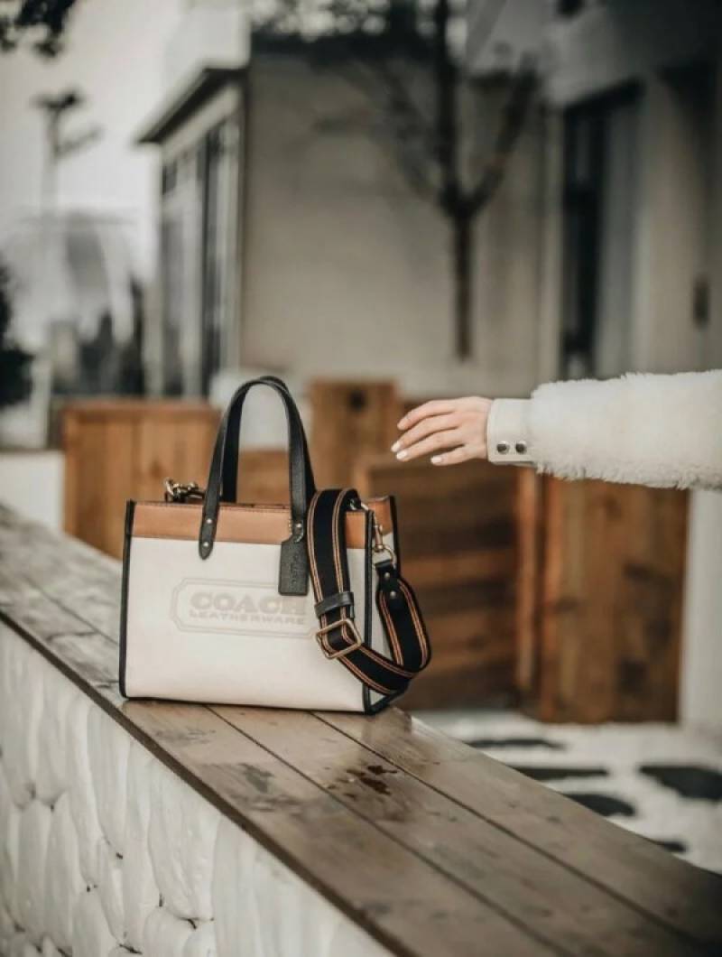 Coaach Field Tote Bag With OG Double Box & Dust Bag & Shoulder Strap & Extra Pouch (White - 116)