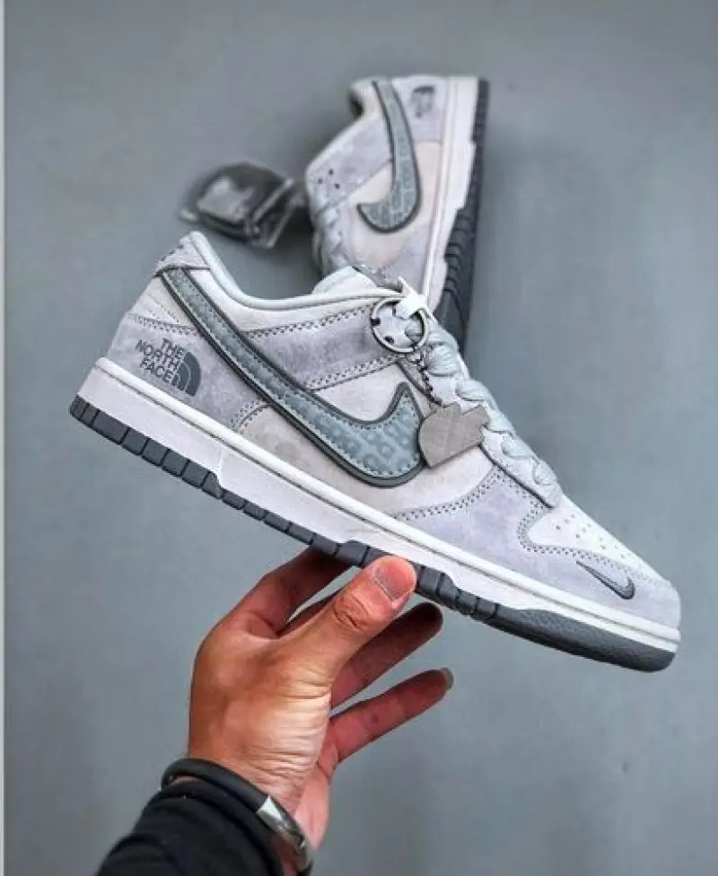 Nike sb dunk low x the north fase