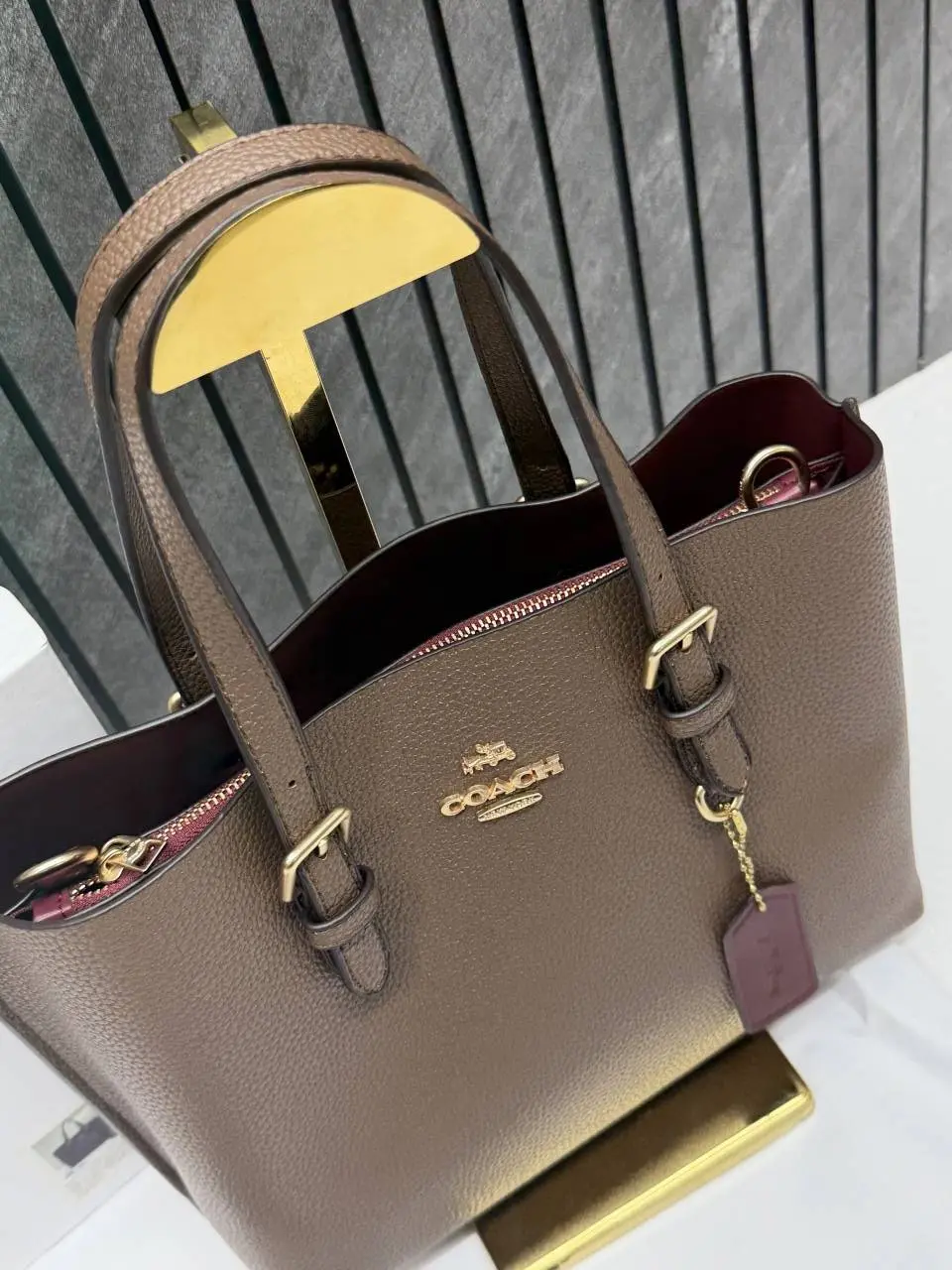 Coach Mollie 25 SuperPremium Mud Small Tote With OriginalBox DustCover - Image 7