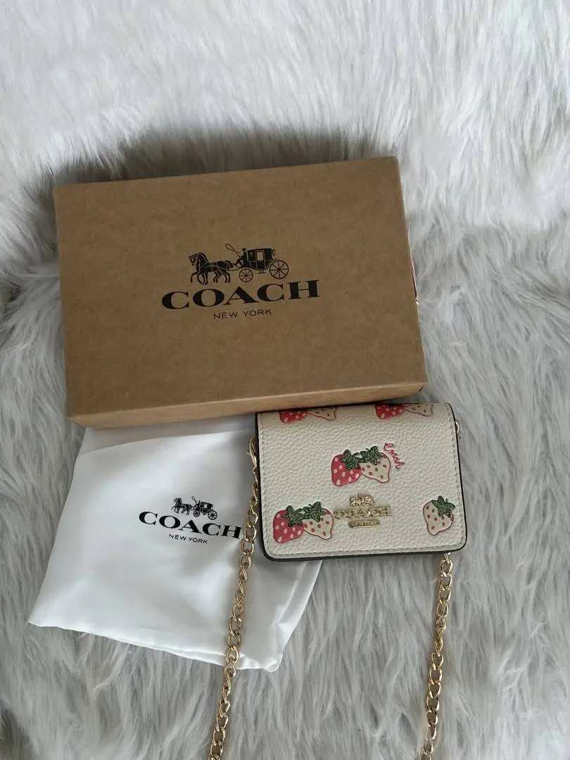 Coach Cw-2 ChainWallet With OriginalBox & DustCover