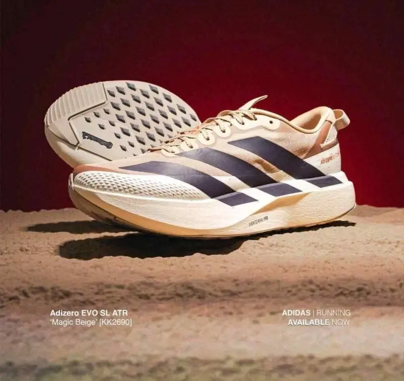 Adidas Adizero Evo SL ATR Megic Beige Cream 1233 - Image 6