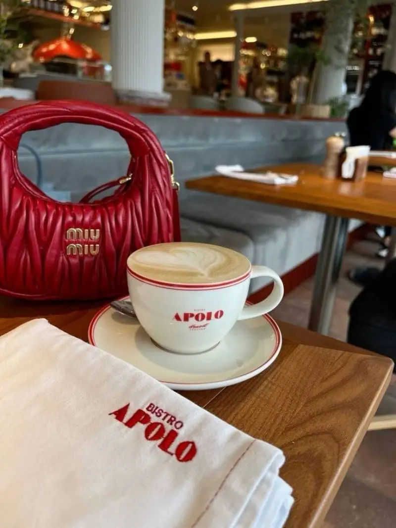 Miu Miu Matelasse Hobo Bag With Original Box & Dust Cover Packing - Image 2