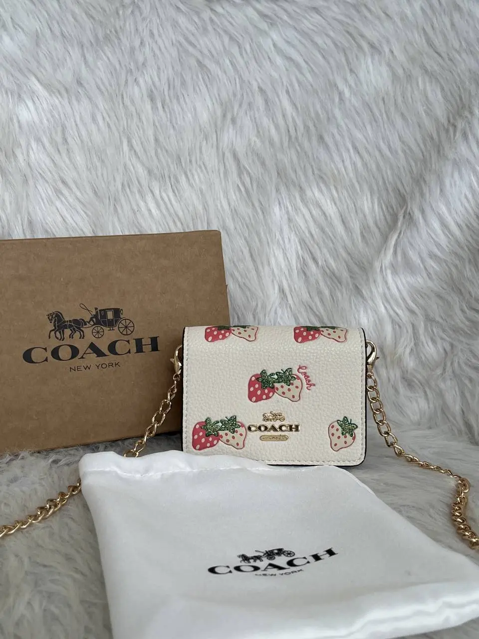 Coach Cw-2 ChainWallet With OriginalBox & DustCover - Image 2