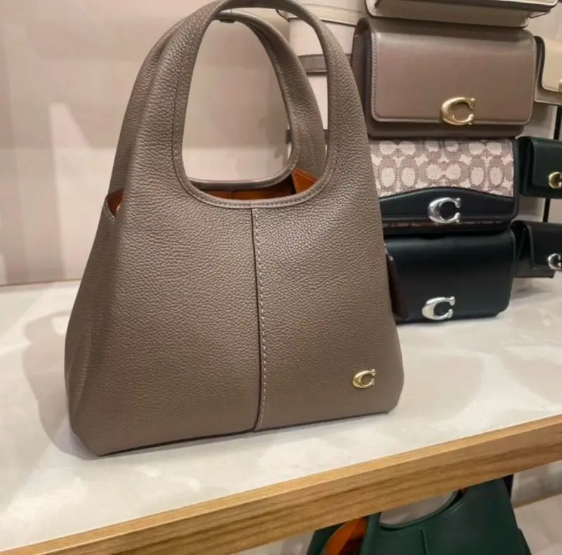 Coach Lana 23 Medium With Original Box DustCover - Image 5