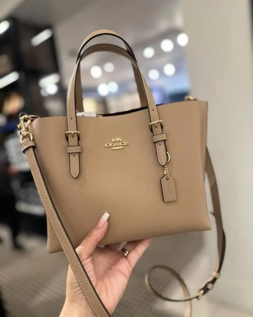 Coach Mollie 25 SuperPremium Mud Small Tote With OriginalBox DustCover - Image 2