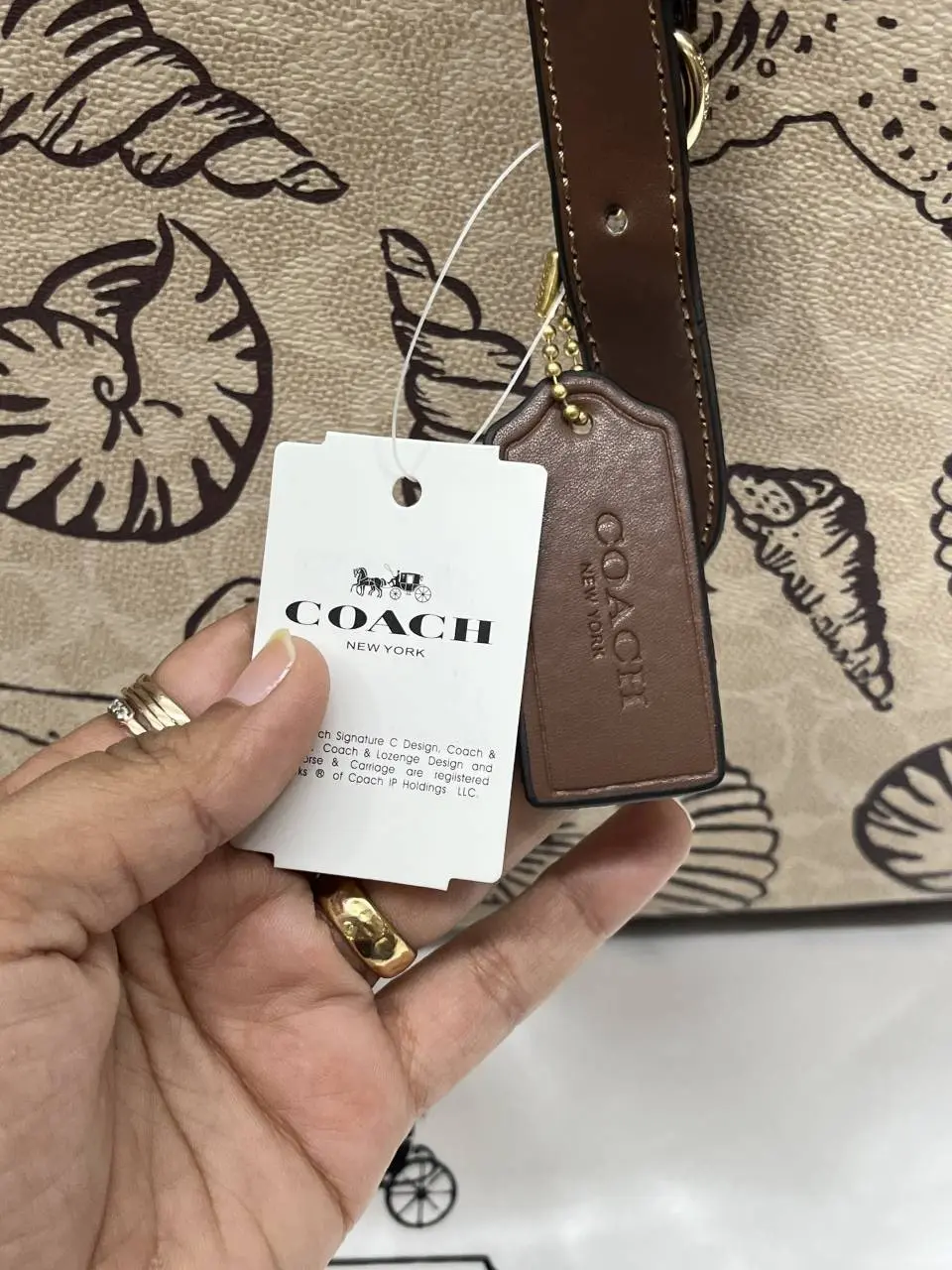 Coach Mollie Shell Edition Tote With OriginalBox DustCover SuperPremium - Image 8
