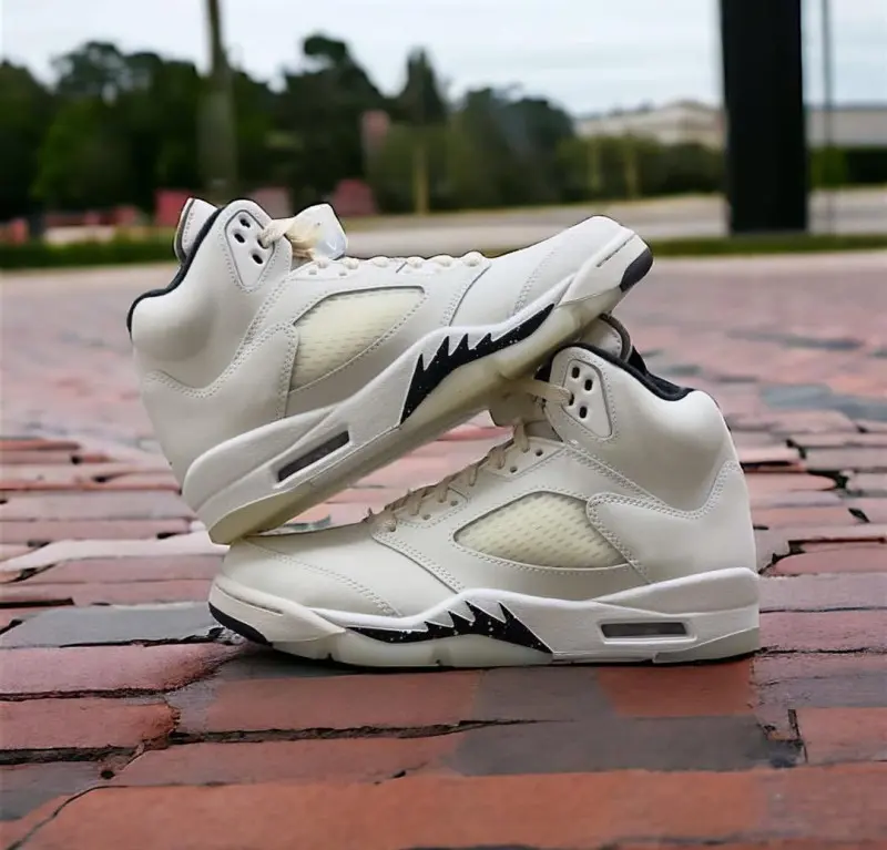 Air Jordan 5 Retro SE Sail