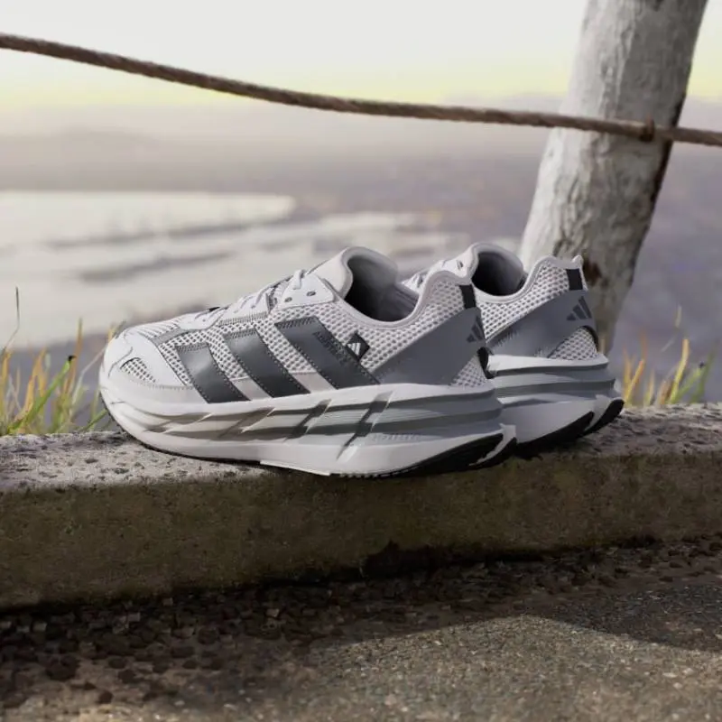 Adistar 3 SPW Grey - Image 3