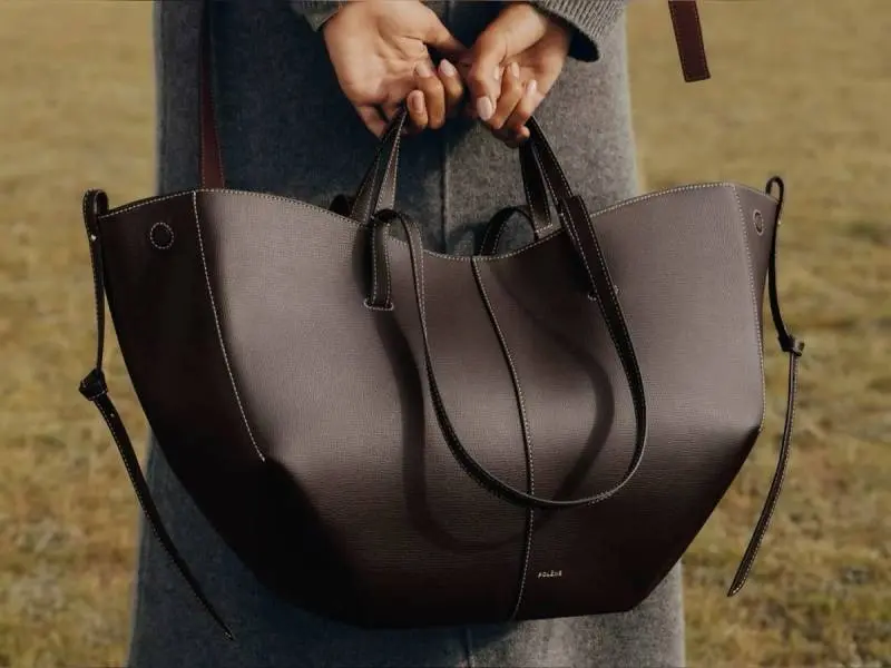 Polenne Eboney Dark Coffee Cyme Large Premium Tote With Wallet & DustCover - Image 4
