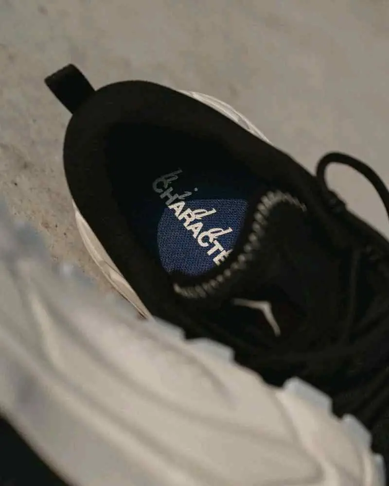 Hidden Character X HOKA Tor Summit White Black 177 - Image 5