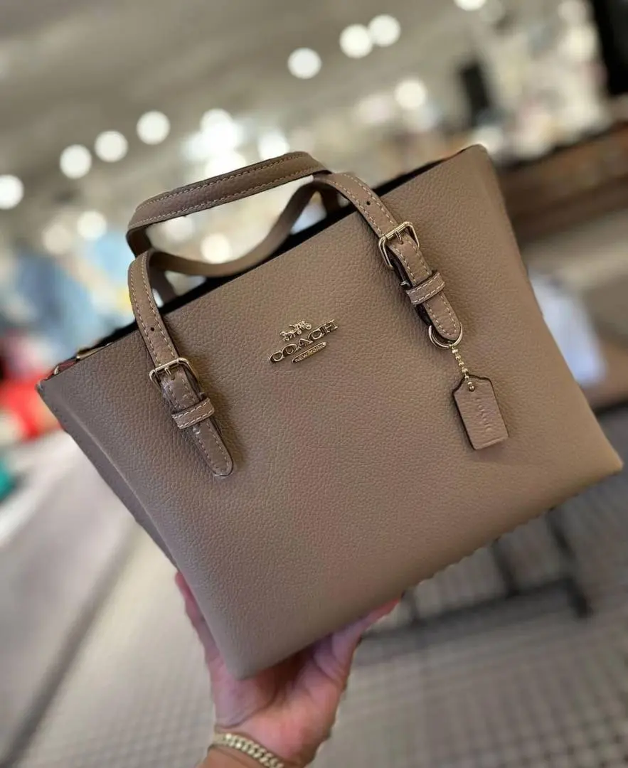 Coach Mollie 25 SuperPremium Mud Small Tote With OriginalBox DustCover - Image 3