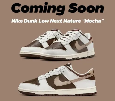 Nike Dunk Low Next Nature Baroque Brown