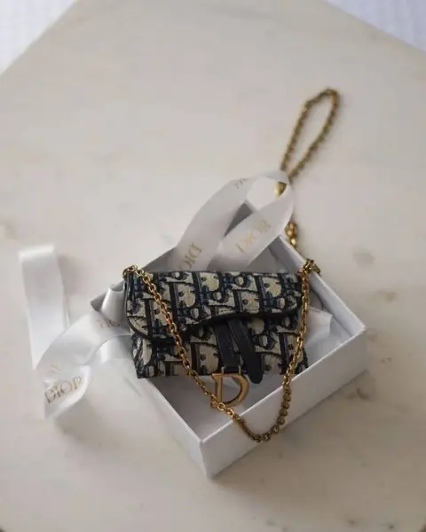 Dior D1 Premium Chain Wallet With OriginalPacking