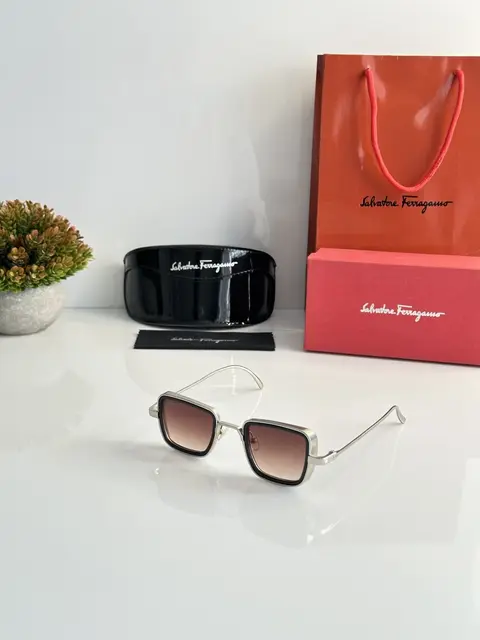 Salvatore Feragamo 3919 Silver Brown Dc