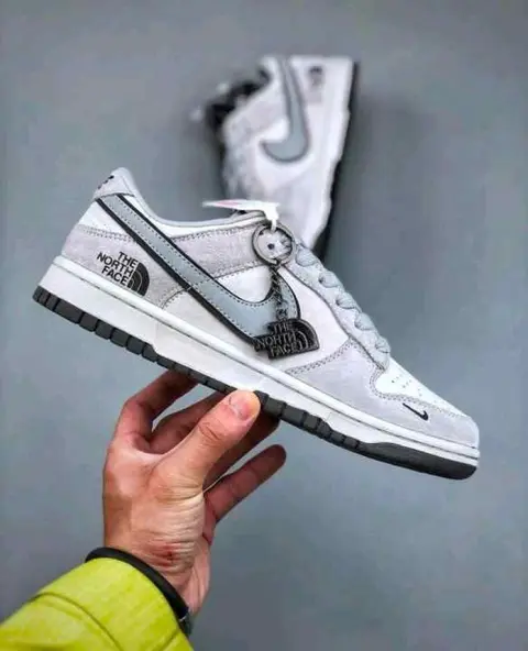 Nike Sb Dunk Low X The Northh Face