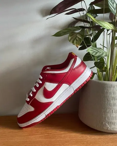 Nike dunk low nature white gym red