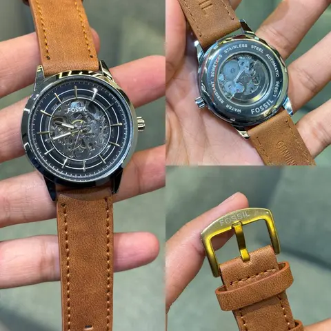 Fossil Skeleton Brownsilver