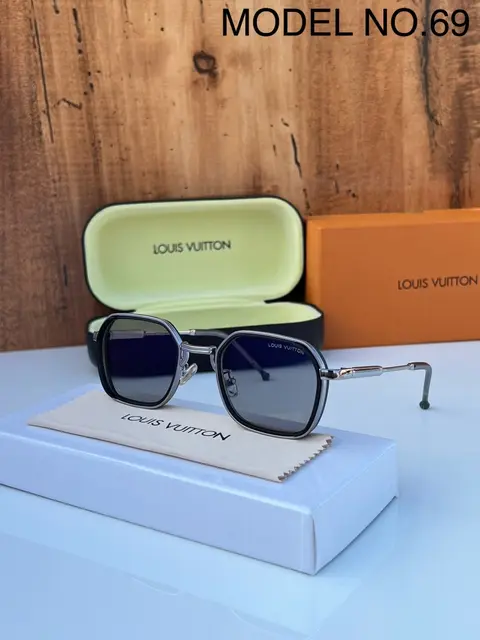 Louis Vuitton 69 grey