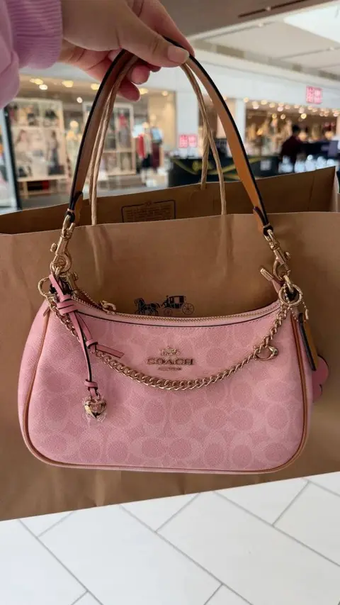 Coach CB NWT Teri Pink With OriginalBox Charms DustCover CarryBag