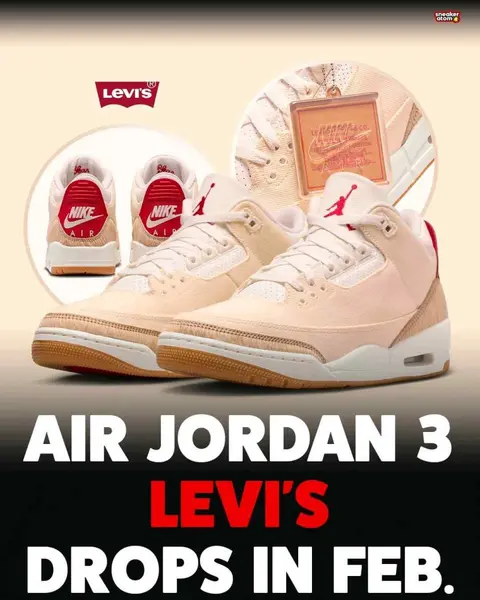 Nike leviiss x Air Jordan 3 Year of the Horse